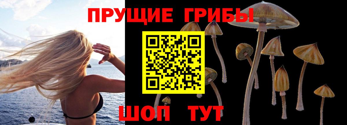 Минусинск  Галлюциногенные грибы мухоморы  Вход с VPN 